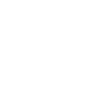 Real-Time Analytics